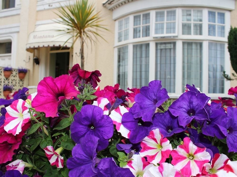 Bed and Breakfast The Montana Торки Экстерьер фото